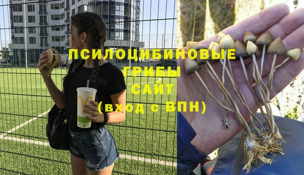 spice Валдай