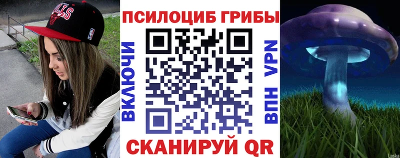 Галлюциногенные грибы прущие грибы  Кувшиново 